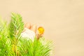 Alone woman sitting under palm tree branches with glass of water with piece orange. Female relaxation on the sand of the beach Royalty Free Stock Photo