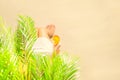 Alone woman sitting under palm tree branches with glass of water with piece orange. Female relaxation on the sand of the beach Royalty Free Stock Photo