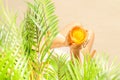 Alone woman sitting under palm tree branches with glass of water with piece orange. Female relaxation on the sand of the beach Royalty Free Stock Photo