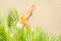 Alone woman sitting under palm tree branches with glass of water with piece orange. Female relaxation on the sand of the beach Royalty Free Stock Photo