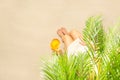 Alone woman sitting under palm tree branches with glass of water with piece orange. Female relaxation on the sand of the beach Royalty Free Stock Photo