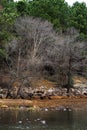 Along the Banks of the Neuse River