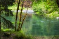 Upper Clackamas River In Mt. Hood National Forest