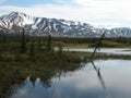Along Denali Highway - Alaska Royalty Free Stock Photo