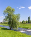 Along Dreisam River Royalty Free Stock Photo