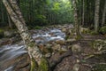 Along the Kancamagus Highway