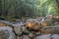 Along the Kancamagus Highway