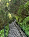 Along the Levada, Madeira. Hiking along irrigation channel Royalty Free Stock Photo