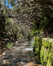Along the Levada, Madeira. Hiking along irrigation channel Royalty Free Stock Photo