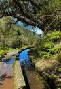 Along the Levada, Madeira. Hiking along irrigation channel Royalty Free Stock Photo