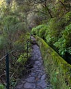 Levada, Madeira. Royalty Free Stock Photo