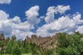 Along the Needles Highway