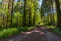 Along the panorama path in Heiligenberg Royalty Free Stock Photo