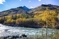 Train Tressel along the river in Alaska