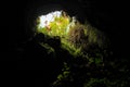 Hana Lava Cave Skylight Royalty Free Stock Photo