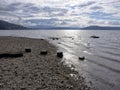 Along the rocky shore in north Idaho