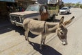 Along route 66, towards the village of Oatman Royalty Free Stock Photo