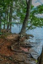 Shoreline erosion at the lake Royalty Free Stock Photo