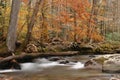 Along the Stream in the Smokies