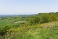 Along Sutton Bank on a misty spring morning in Yorkshire Royalty Free Stock Photo