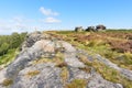 Along the top of Birchen Edge on a summer morning