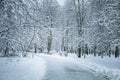 Along Walking way in the winter park. Winter trees covered with snow Royalty Free Stock Photo