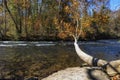 Along the Watauga River at Sycamore Shoals State Park, Tennessee, USA