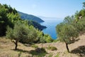 Alonissos coastline, Greece Royalty Free Stock Photo