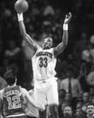 Alonzo Mourning Royalty Free Stock Photo