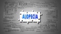 Alopecia - a complex subject, related to many concepts. Pictured as a puzzle and a word cloud made of most important ideas and