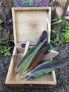 Feathers in Wooden Box Feather Collection Royalty Free Stock Photo