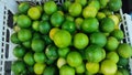 alot of green lemon in market Royalty Free Stock Photo