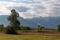 Alp mountains under a blue sunny sky and green trees on a field in a cozy Bavarian village on a sunny day Royalty Free Stock Photo