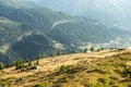 Alp Richinen overlooking the Goms Valley Royalty Free Stock Photo