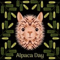 Alpaca Day. National holiday in Peru. Head, face alpaca. Mesquite twig frame