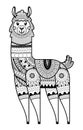 Alpaca design for coloring book Royalty Free Stock Photo