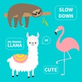 Alpaca, flamingo, sloth set. No drama llama. Slow down. Cute cartoon funny kawaii character. Childish baby collection. T-shirt, gr