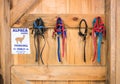 Alpaca Harnesses Hanging in Barn with Sign