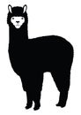 Alpaca Lama silhouette Royalty Free Stock Photo