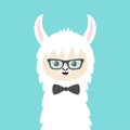 Alpaca llama animal face in sun glasses and bow. Cute cartoon kawaii smiling funny character. T-shirt, greeting card, poster print