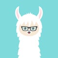 Alpaca llama animal face in sun glasses. Cute cartoon kawaii smiling funny character. T-shirt, greeting card, poster print. Royalty Free Stock Photo
