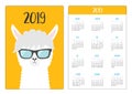 Alpaca llama animal face wearing sun glassess. Simple pocket calendar layout 2019 new year. Week starts Sunday. Cute cartoon