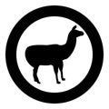 Alpaca Llama Lama Guanaco silhouette in circle round black color vector illustration solid outline style image Royalty Free Stock Photo