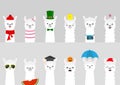 Alpaca llama set. Cute cartoon funny lama character. All seasons. Happy Valentines Christmas St Patrick day Easter Egg Chicken