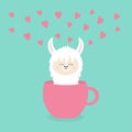 Alpaca llama sitting in coffee cup teacup. Pink hearts. Happy Valentines Day. Funny face . Cute cartoon character. Blue background Royalty Free Stock Photo