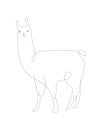 Alpaca one line illustration. Lama line art vector. Peru animals