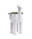 Alpaca planter with string of pearls