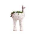 Alpaca planter with string of pearls