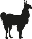 Alpaca silhouette Royalty Free Stock Photo