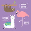 Alpaca, sloth, flamingo set. No drama llama. Slow down. Cute cartoon funny kawaii character. T-shirt, greeting card, poster